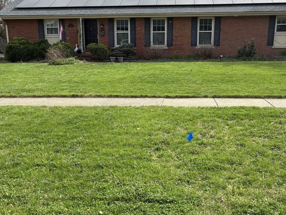 Same lawn after mow, trim and edge