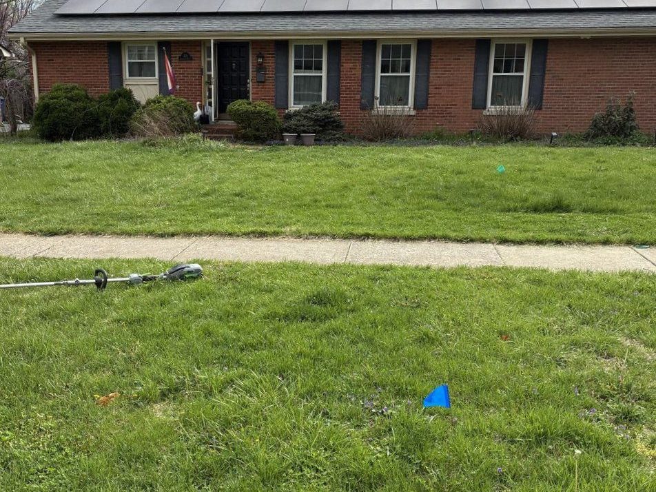 Overgrown front lawn before mowing