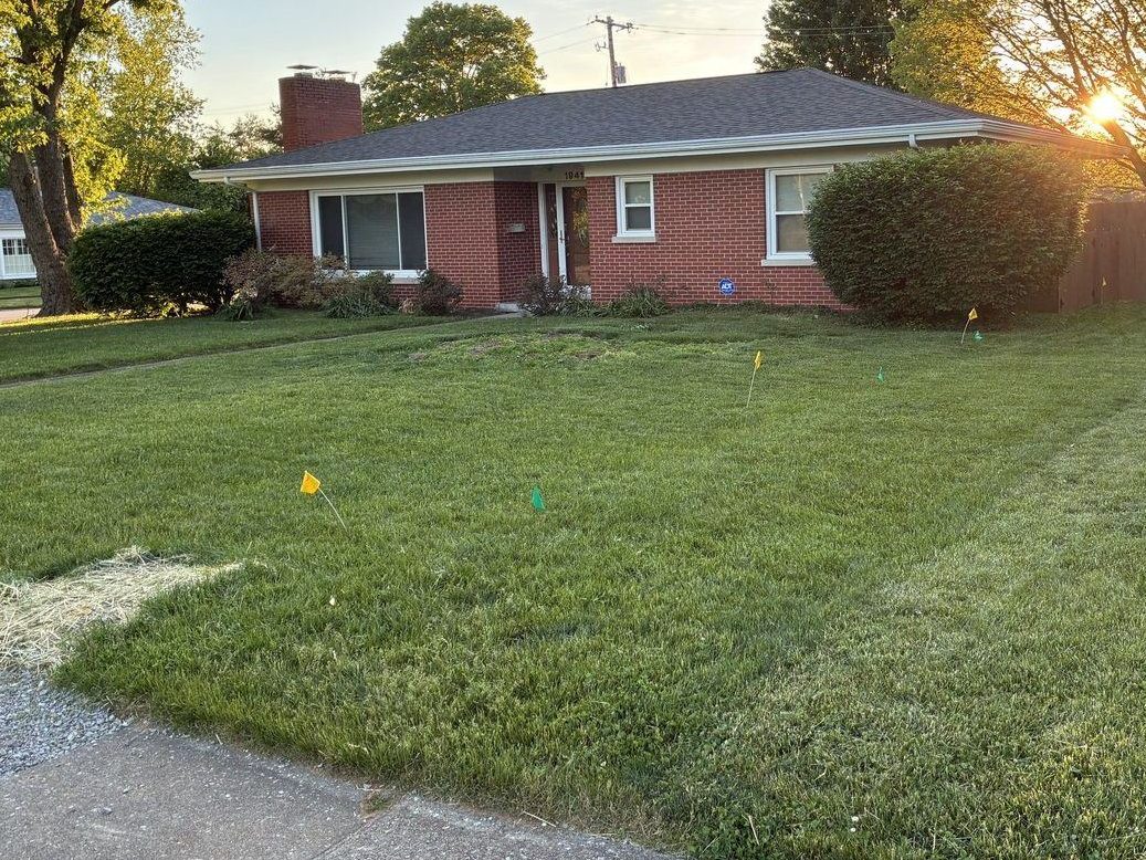 Same yard after a full cut