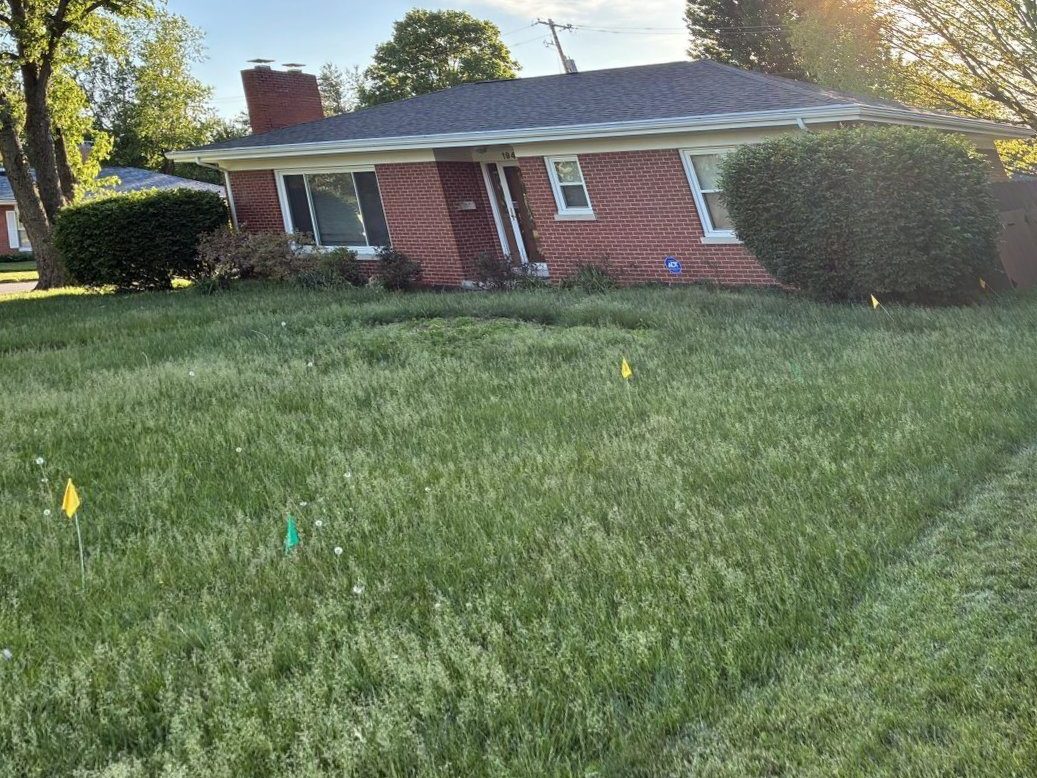 Overgrown yard with tall grass before service