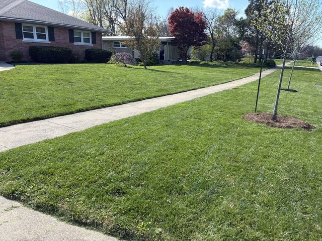 Mowing job — fresh walk lines