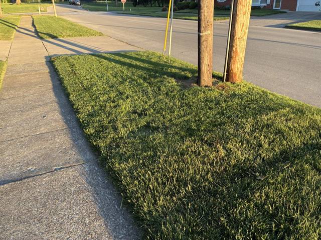 Mowing job — street-edge trim