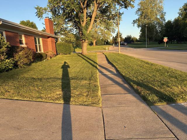 Mowing job — evening walk edge